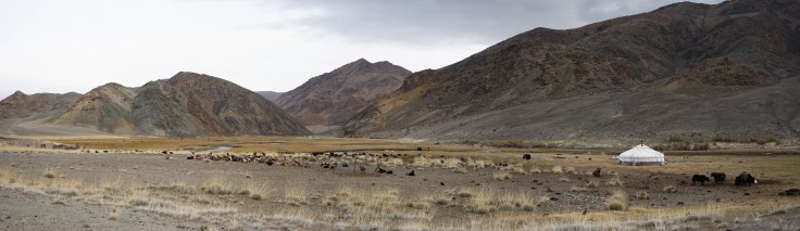 DSC06271-Pano.jpg